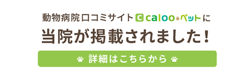 動物病院口コミサイトCalooペットに当院が掲載されました!詳細はこちらから