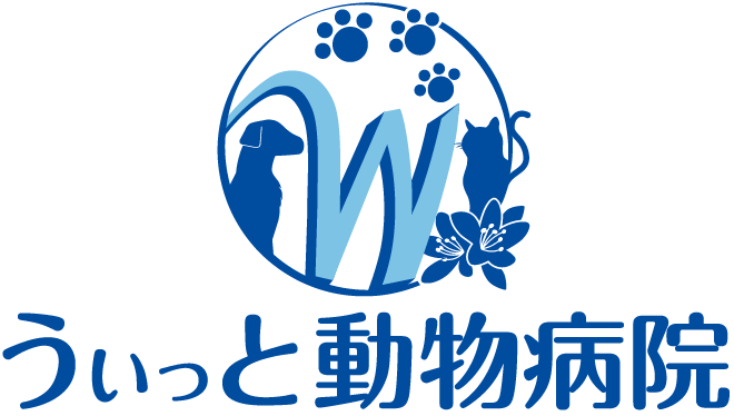 うぃっと動物病院